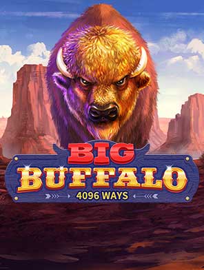 Big Buffalo